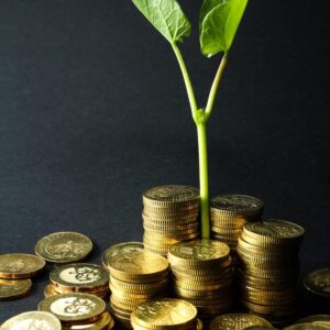 Crypto Trading (Buy and Sell Cryptos for Day-to-Day Profit)