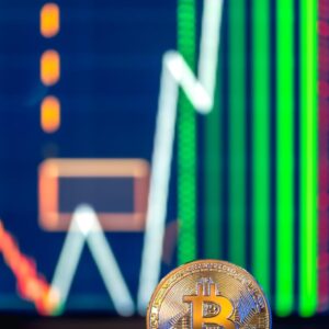 Crypto Holdings (How to Buy and Hold Crypto for Future Profit)